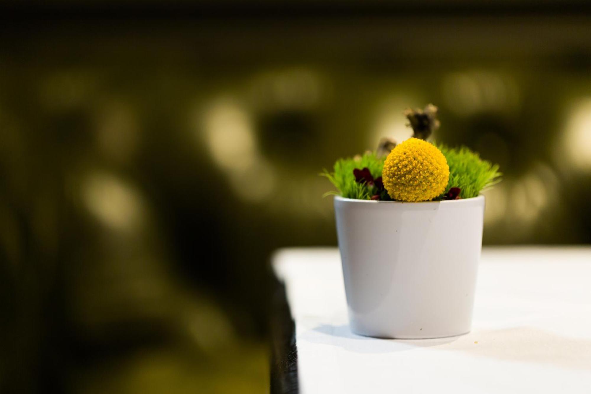 La Cour Des Consuls Hotel And Spa Toulouse - Mgallery Dış mekan fotoğraf